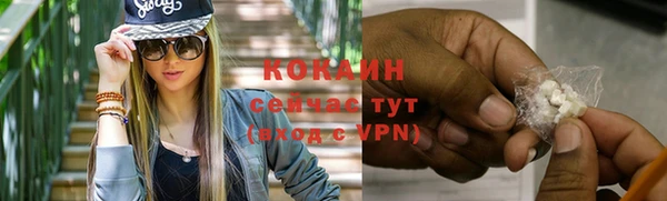молекула духа Белокуриха
