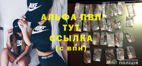 молекула духа Белокуриха